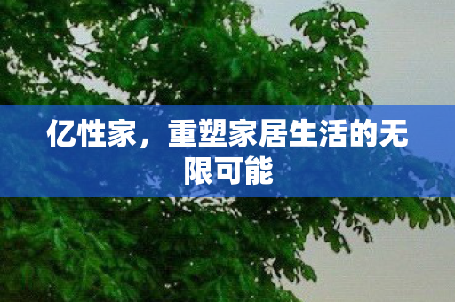 亿性家，重塑家居生活的无限可能