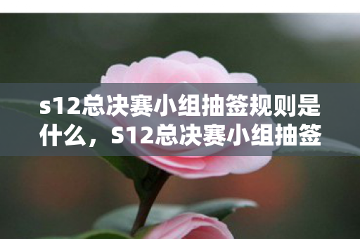 s12总决赛小组抽签规则是什么,S12总决赛小组抽签规则解析 s12总决赛小组抽签规则是什么,S12总决赛小组抽签规则解析