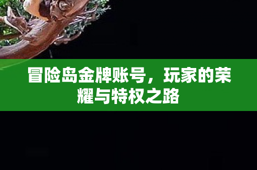 冒险岛金牌账号，玩家的荣耀与特权之路
