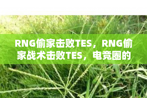 RNG偷家击败TES，RNG偷家战术击败TES，电竞圈的惊喜逆转