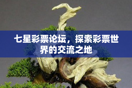 七星彩票论坛，探索彩票世界的交流之地
