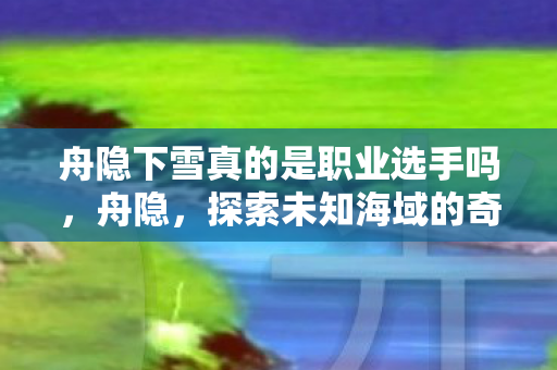 舟隐下雪真的是职业选手吗，舟隐，探索未知海域的奇妙之旅