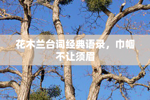 花木兰台词经典语录,巾帼不让须眉 花木兰台词经典语录,巾帼不让须眉