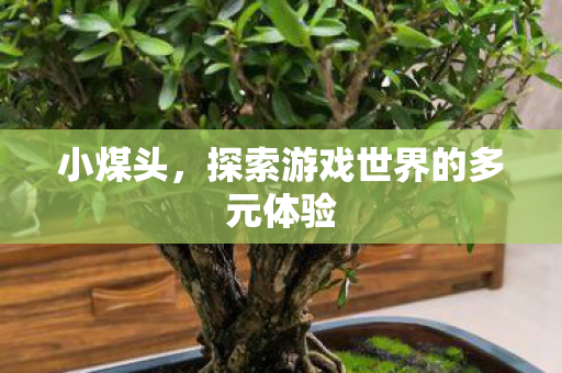 小煤头，探索游戏世界的多元体验