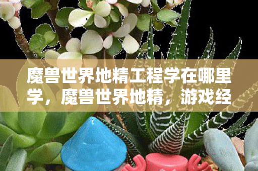 魔兽世界地精工程学在哪里学，魔兽世界地精，游戏经济中的智慧与策略