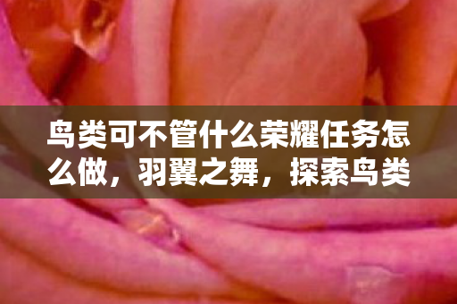 鸟类可不管什么荣耀任务怎么做，羽翼之舞，探索鸟类的自由与荣耀