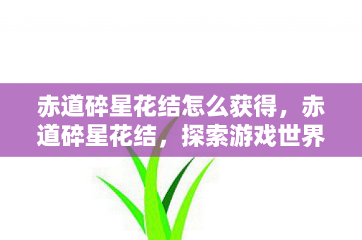 赤道碎星花结怎么获得,赤道碎星花结,探索游戏世界的无限可能 赤道碎星花结怎么获得,赤道碎星花结,探索游戏世界的无限可能