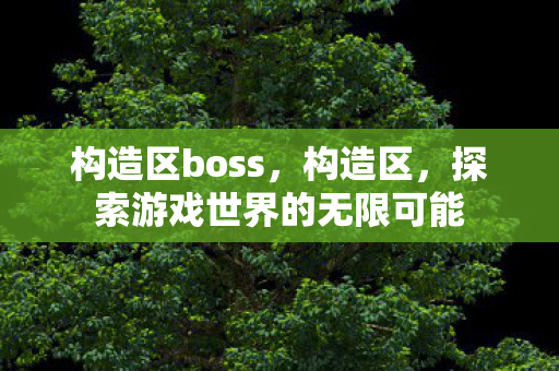 构造区boss，构造区，探索游戏世界的无限可能