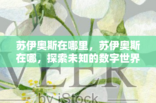 苏伊奥斯在哪里,苏伊奥斯在哪,探索未知的数字世界 苏伊奥斯在哪里,苏伊奥斯在哪,探索未知的数字世界