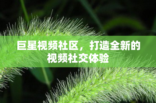 巨星视频社区，打造全新的视频社交体验