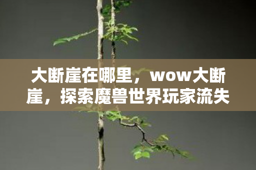 大断崖在哪里,wow大断崖,探索魔兽世界玩家流失的深层原因 大断崖在哪里,wow大断崖,探索魔兽世界玩家流失的深层原因
