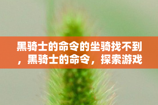 黑骑士的命令的坐骑找不到，黑骑士的命令，探索游戏世界的独特魅力