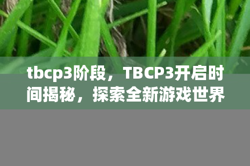 tbcp3阶段，TBCP3开启时间揭秘，探索全新游戏世界的门户