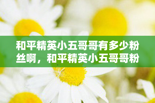 和平精英小五哥哥有多少粉丝啊，和平精英小五哥哥粉丝数量揭秘，影响力与粉丝经济背后的故事