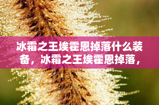 冰霜之王埃霍恩掉落什么装备,冰霜之王埃霍恩掉落,探寻魔兽世界的传奇宝藏 冰霜之王埃霍恩掉落什么装备,冰霜之王埃霍恩掉落,探寻魔兽世界的传奇宝藏