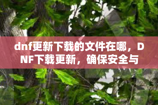 dnf更新下载的文件在哪,DNF下载更新,确保安全与效率,官方渠道是关键 dnf更新下载的文件在哪,DNF下载更新,确保安全与效率,官方渠道是关键