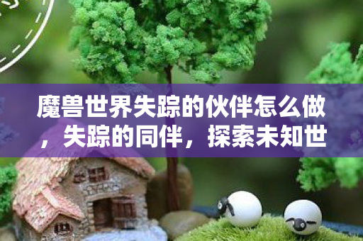 魔兽世界失踪的伙伴怎么做，失踪的同伴，探索未知世界的冒险与风险