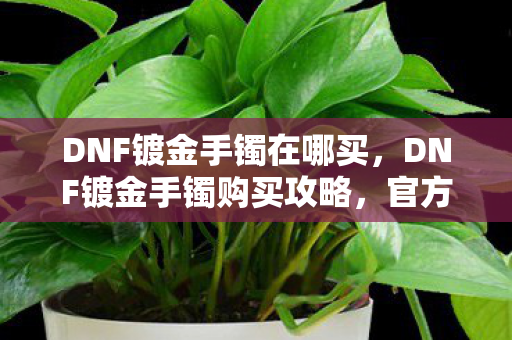 DNF镀金手镯在哪买,DNF镀金手镯购买攻略,官方渠道与性价比分析 DNF镀金手镯在哪买,DNF镀金手镯购买攻略,官方渠道与性价比分析