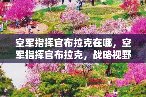 空军指挥官布拉克在哪,空军指挥官布拉克,战略视野下的空战艺术 空军指挥官布拉克在哪,空军指挥官布拉克,战略视野下的空战艺术