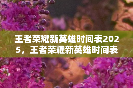 王者荣耀新英雄时间表2025，王者荣耀新英雄时间表，英雄更迭的荣耀之路