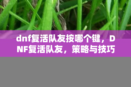 dnf复活队友按哪个键,DNF复活队友,策略与技巧的深度解析 dnf复活队友按哪个键,DNF复活队友,策略与技巧的深度解析