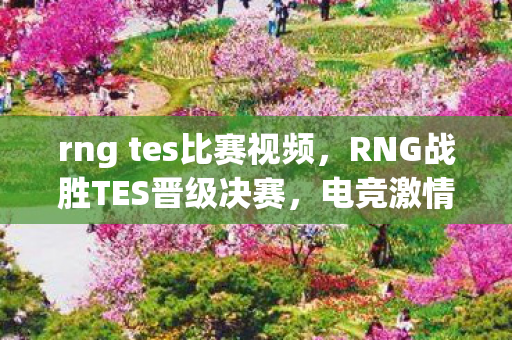 rng tes比赛视频，RNG战胜TES晋级决赛，电竞激情与荣耀的碰撞