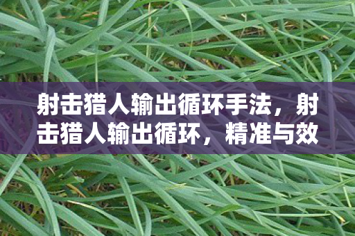 射击猎人输出循环手法,射击猎人输出循环,精准与效率的完美平衡 射击猎人输出循环手法,射击猎人输出循环,精准与效率的完美平衡