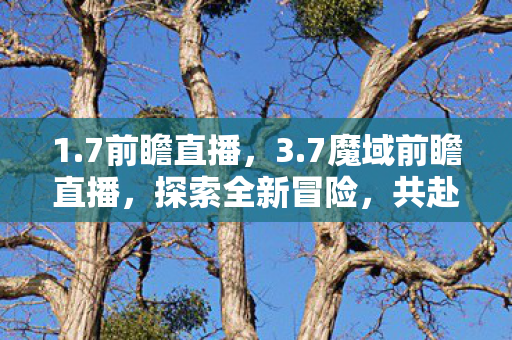 1.7前瞻直播，3.7魔域前瞻直播，探索全新冒险，共赴雷鸣大陆之旅