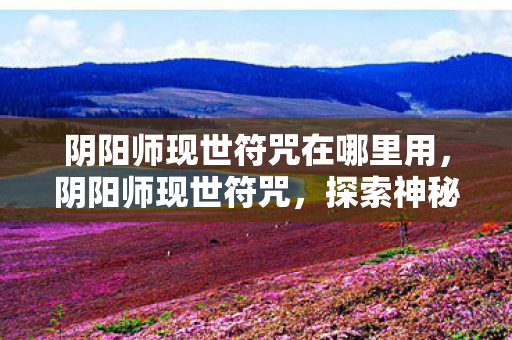 阴阳师现世符咒在哪里用，阴阳师现世符咒，探索神秘世界的神秘力量