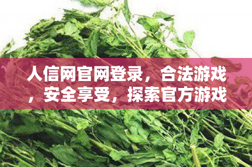 人信网官网登录，合法游戏，安全享受，探索官方游戏的魅力