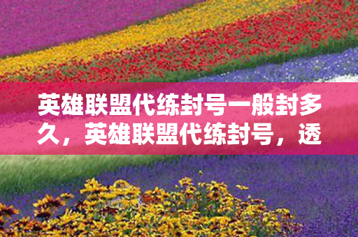 英雄联盟代练封号一般封多久，英雄联盟代练封号，透视背后的灰色产业链