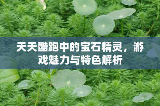 天天酷跑中的宝石精灵，游戏魅力与特色解析