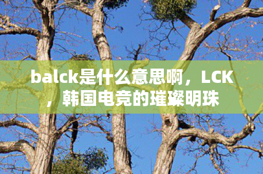 balck是什么意思啊，LCK，韩国电竞的璀璨明珠