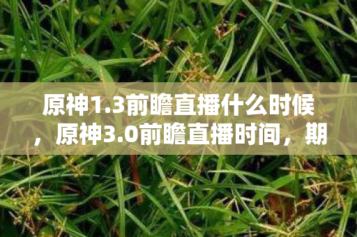 原神1.3前瞻直播什么时候，原神3.0前瞻直播时间，期待与惊喜的交汇点