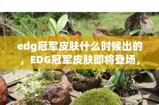 edg冠军皮肤什么时候出的，EDG冠军皮肤即将登场，揭秘发布时间与亮点