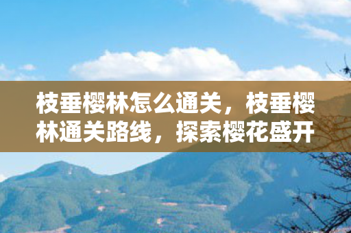 枝垂樱林怎么通关,枝垂樱林通关路线,探索樱花盛开的秘境 枝垂樱林怎么通关,枝垂樱林通关路线,探索樱花盛开的秘境