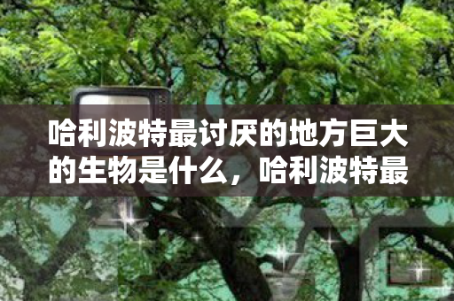 哈利波特最讨厌的地方巨大的生物是什么，哈利波特最讨厌的地方，巨大生物的阴影