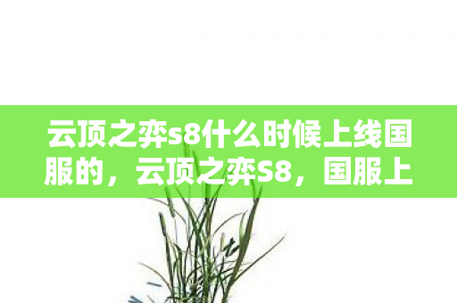 云顶之弈s8什么时候上线国服的，云顶之弈S8，国服上线时间揭秘