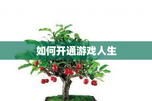 如何开通游戏人生