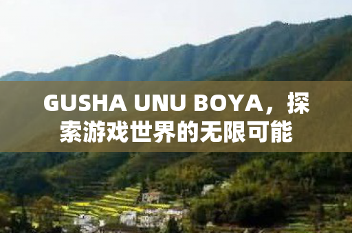 GUSHA UNU BOYA,探索游戏世界的无限可能 GUSHA UNU BOYA,探索游戏世界的无限可能