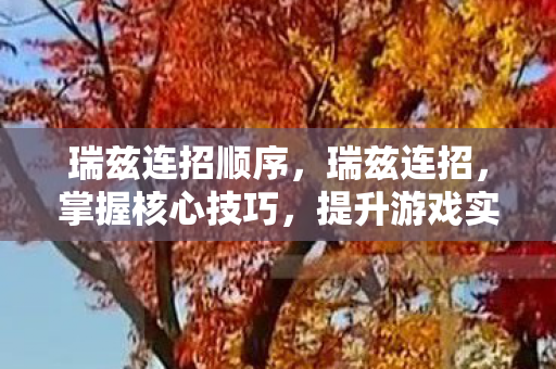 瑞兹连招顺序,瑞兹连招,掌握核心技巧,提升游戏实力 瑞兹连招顺序,瑞兹连招,掌握核心技巧,提升游戏实力