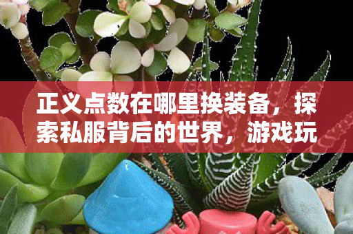 正义点数在哪里换装备,探索私服背后的世界,游戏玩家的另类选择 正义点数在哪里换装备,探索私服背后的世界,游戏玩家的另类选择