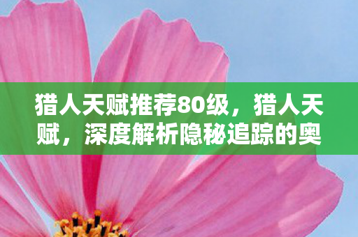 猎人天赋推荐80级,猎人天赋,深度解析隐秘追踪的奥秘 猎人天赋推荐80级,猎人天赋,深度解析隐秘追踪的奥秘