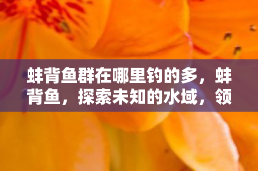 蚌背鱼群在哪里钓的多，蚌背鱼，探索未知的水域，领略自然之美