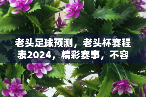 老头足球预测,老头杯赛程表2024,精彩赛事,不容错过! 老头足球预测,老头杯赛程表2024,精彩赛事,不容错过!