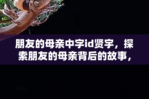 朋友的母亲中字id贤宇，探索朋友的母亲背后的故事，一段温暖的数字记忆