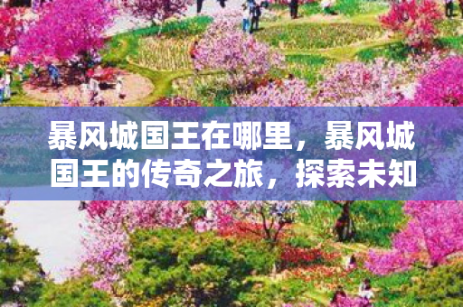 暴风城国王在哪里,暴风城国王的传奇之旅,探索未知的王国 暴风城国王在哪里,暴风城国王的传奇之旅,探索未知的王国