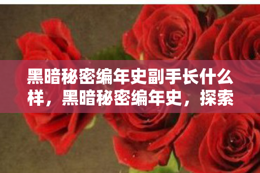 黑暗秘密编年史副手长什么样,黑暗秘密编年史,探索游戏产业背后的灰色阴影 黑暗秘密编年史副手长什么样,黑暗秘密编年史,探索游戏产业背后的灰色阴影