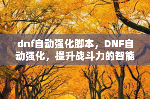 dnf自动强化脚本，DNF自动强化，提升战斗力的智能选择