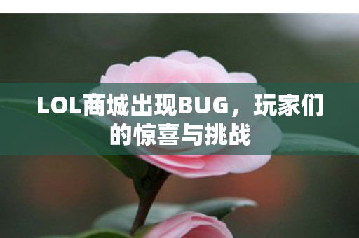 LOL商城出现BUG，玩家们的惊喜与挑战